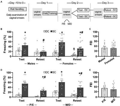 Involvement of D2-like dopaminergic receptors in contextual fear conditioning in female rats: influence of estrous cycle